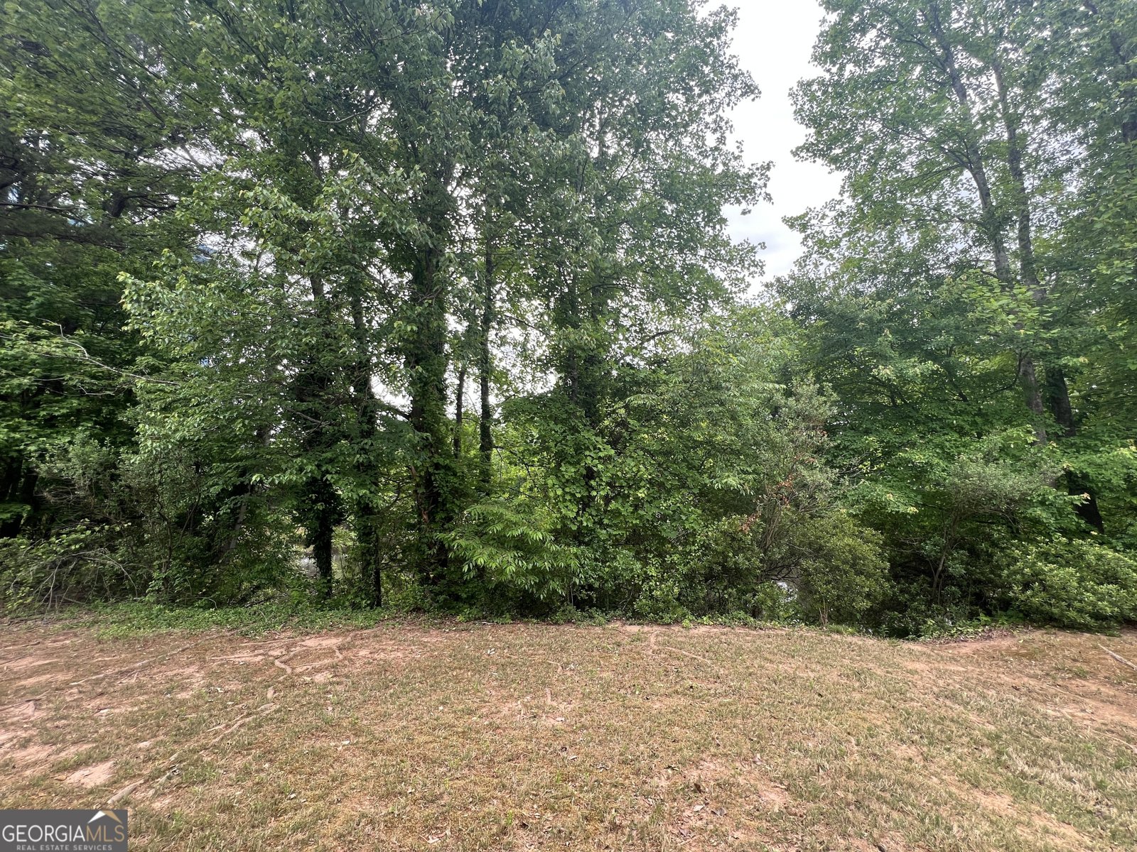 1641 Northgate Mill Drive Duluth - Photo 30