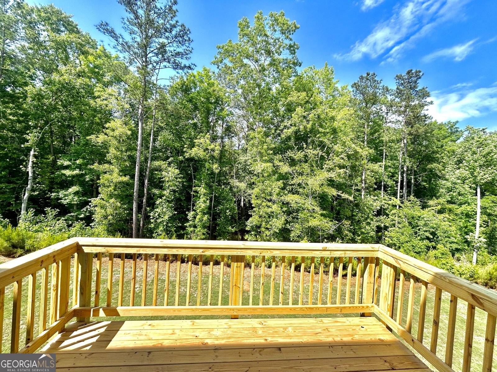 5372 Heron Bay Boulevard Locust Grove - Photo 12