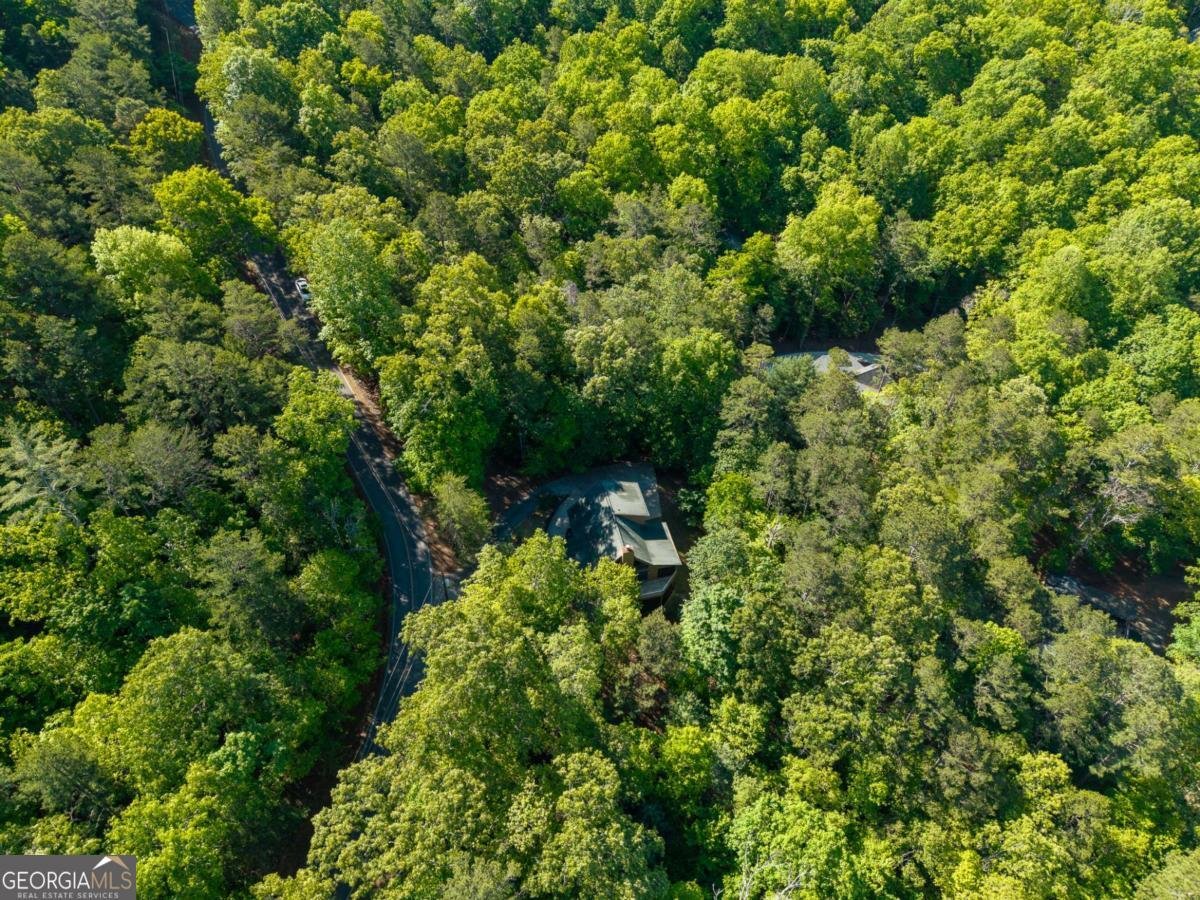 270 Tara Drive Ellijay - Photo 41