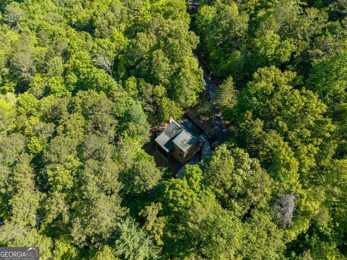 270 Tara Drive Ellijay - Photo 42