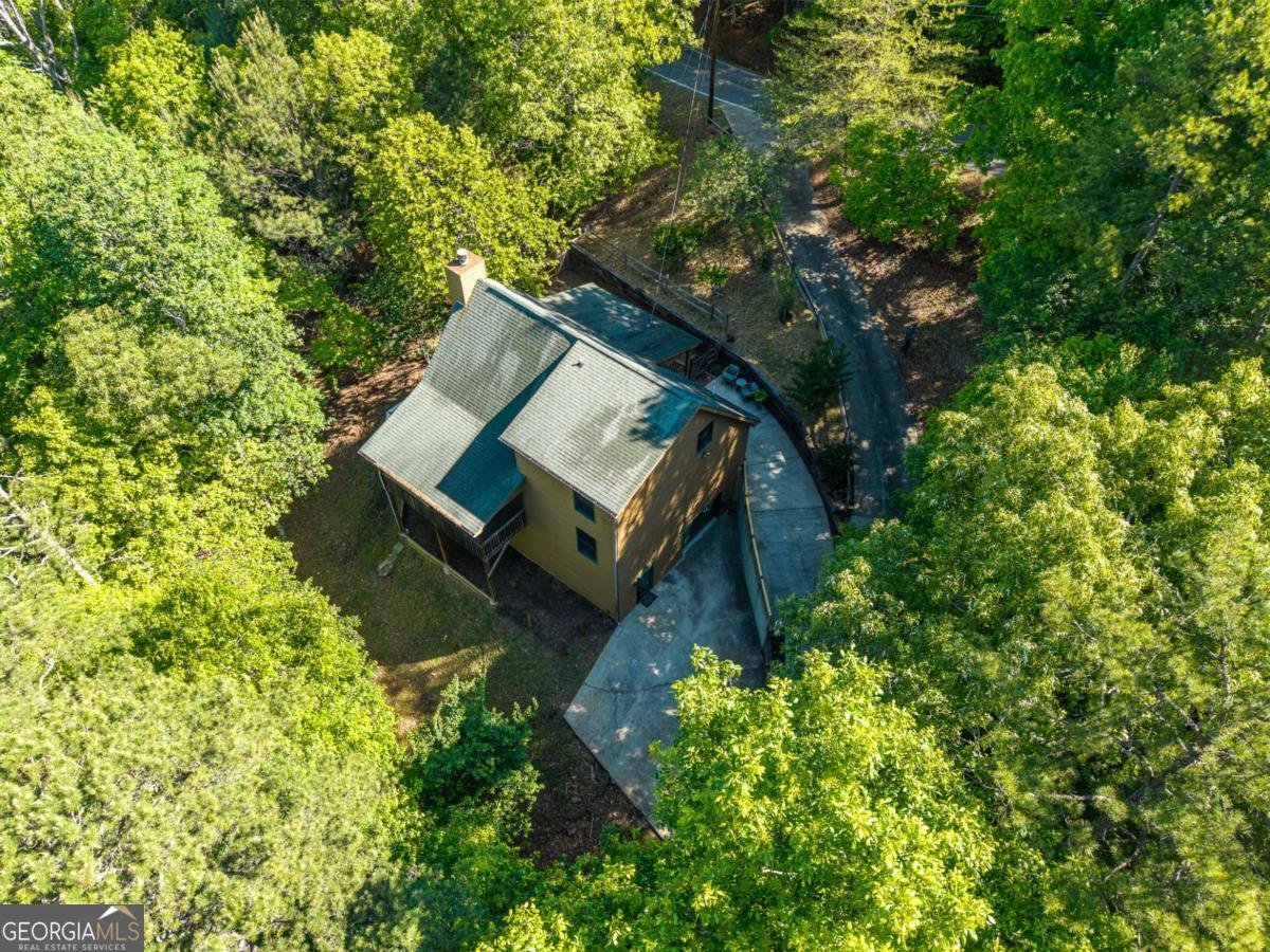 270 Tara Drive Ellijay - Photo 43