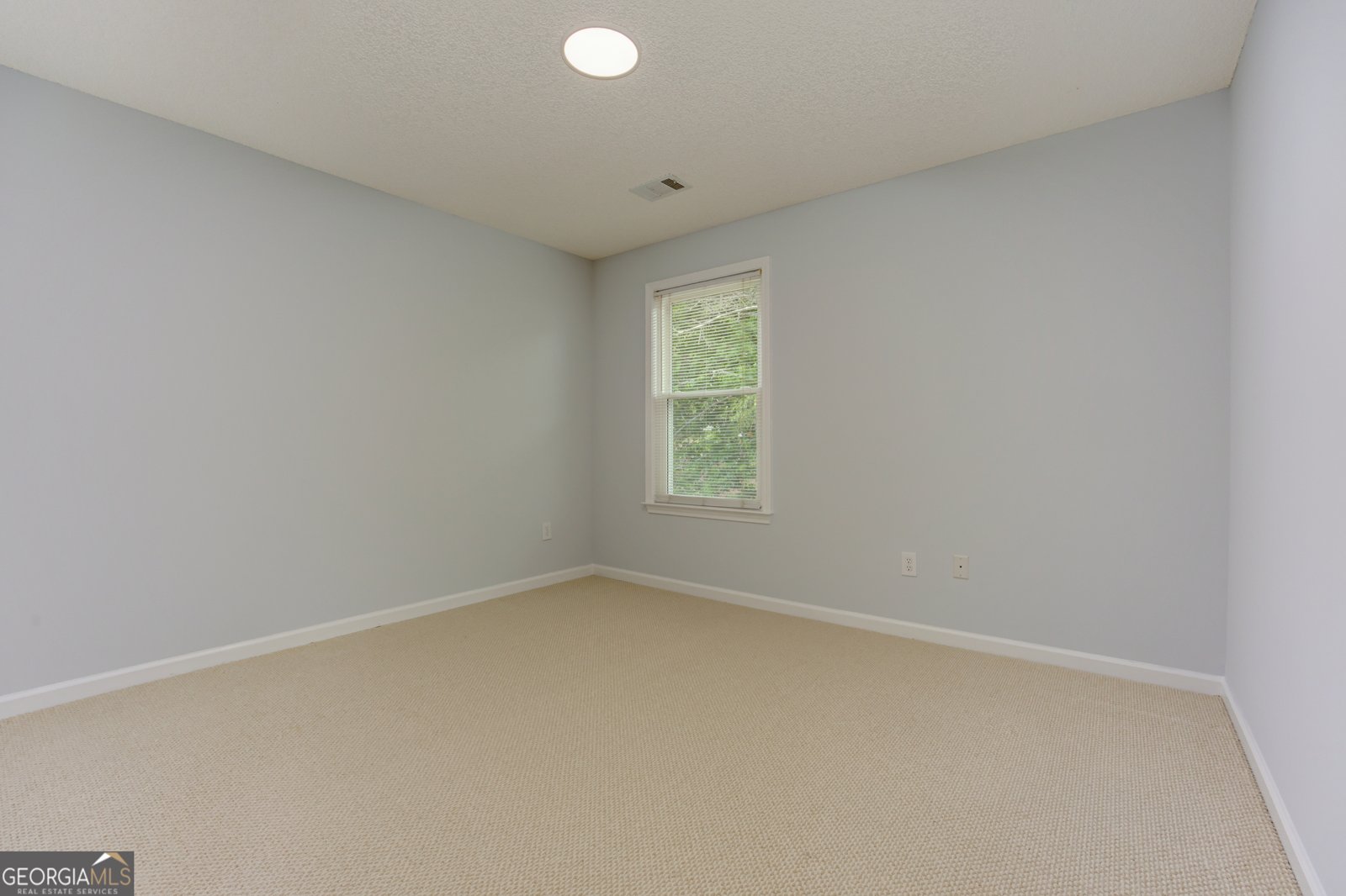 3855 Ruby Falls Drive Duluth - Photo 43