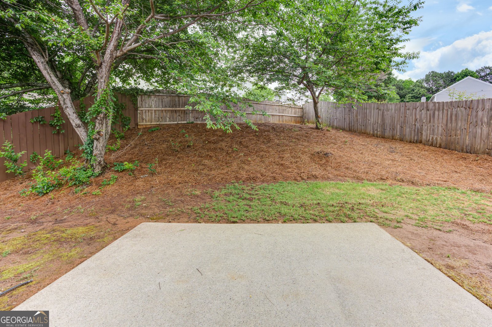 3855 Ruby Falls Drive Duluth - Photo 50