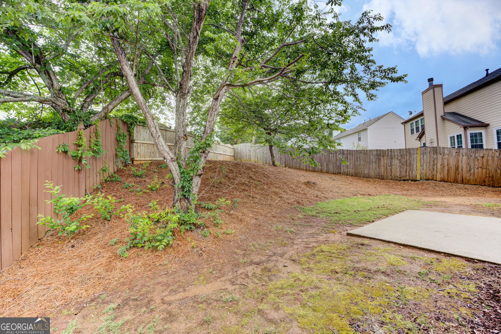 3855 Ruby Falls Drive Duluth - Photo 53