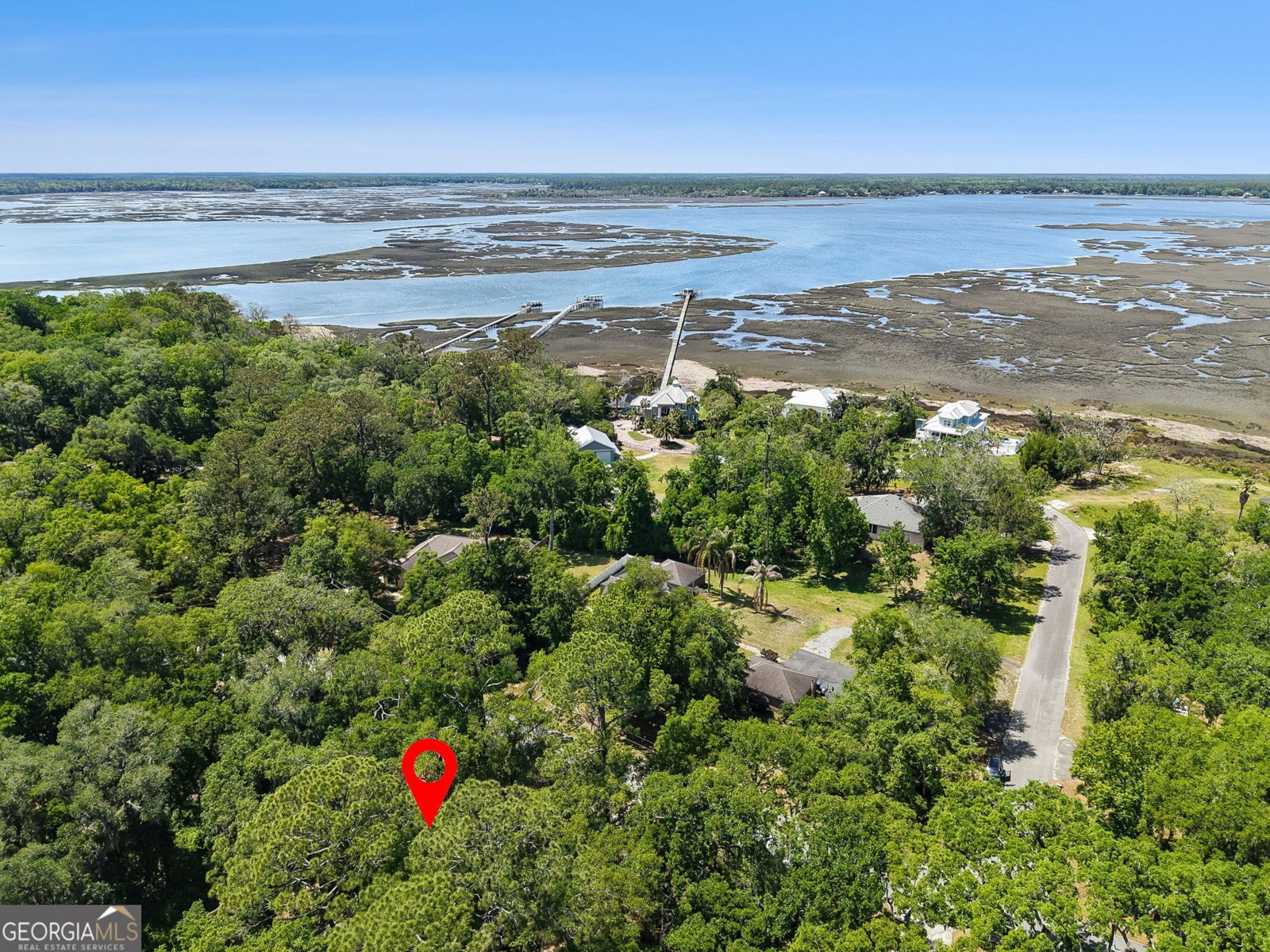 1294 Mush Bluff Road St. Marys - Photo 47
