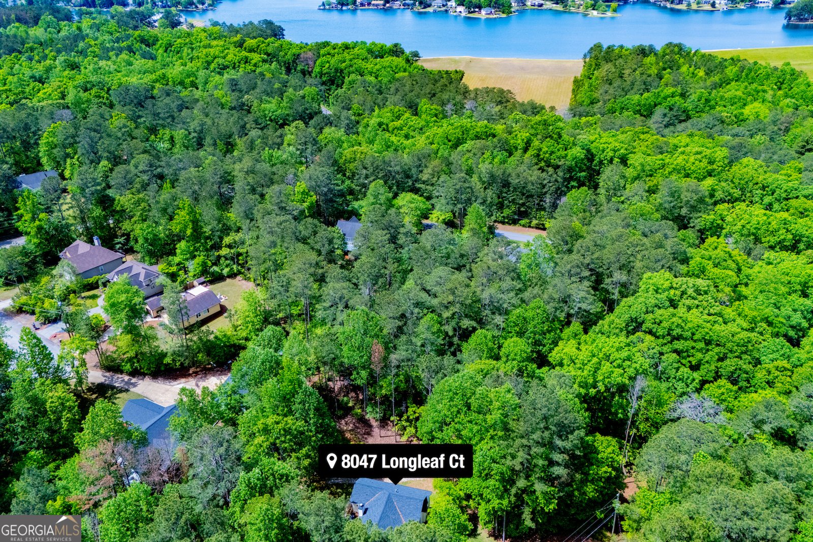 8047 Longleaf Court Villa Rica - Photo 59