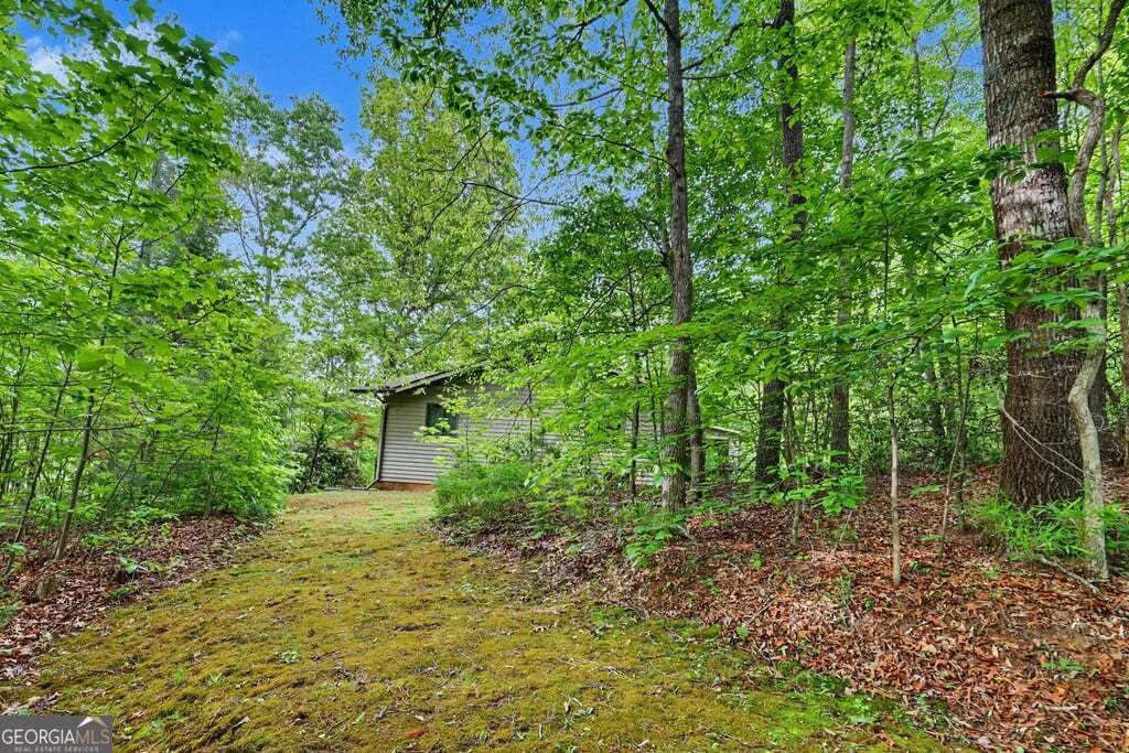 24 Taylor Valley Road Clayton - Photo 48