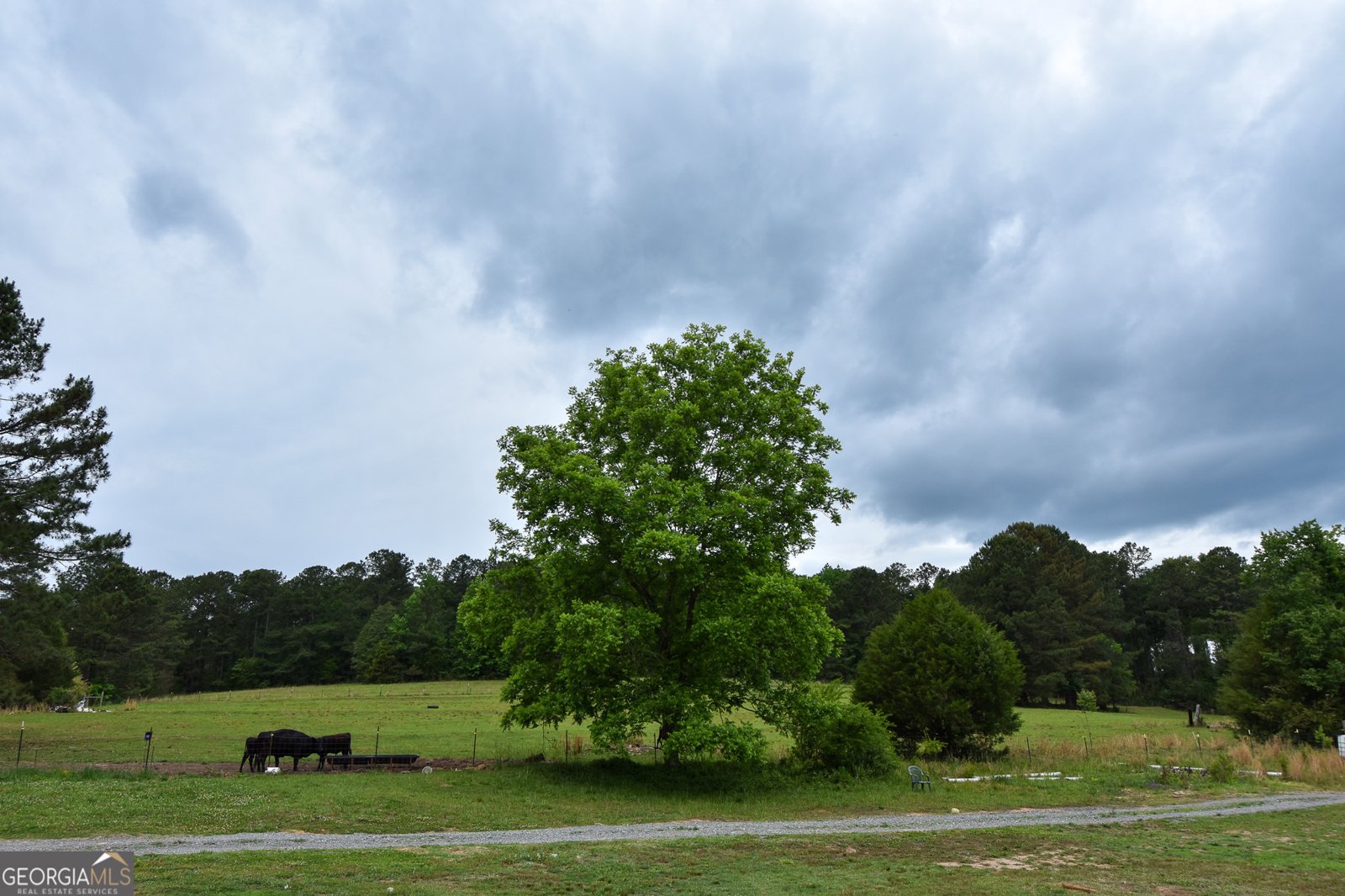 350 Double Bridge Road Thomaston - Photo 48