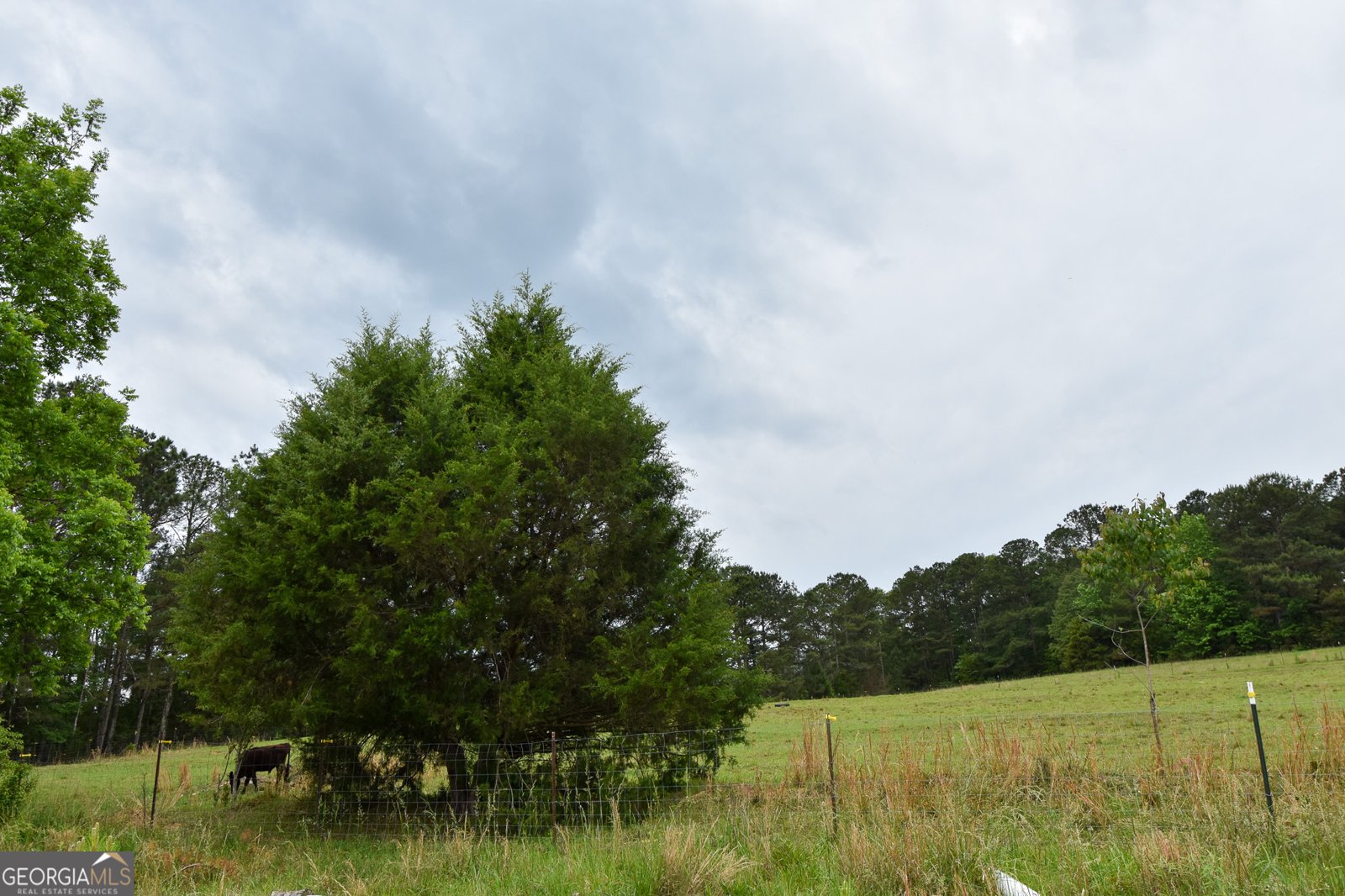 350 Double Bridge Road Thomaston - Photo 50