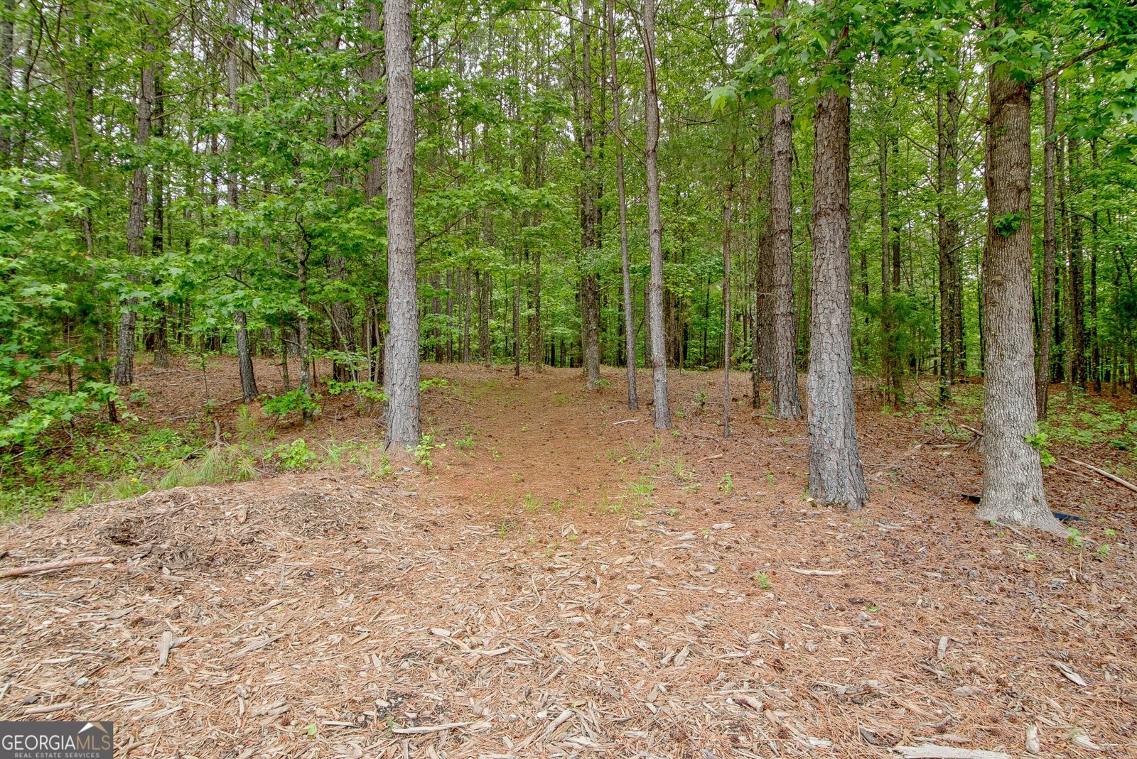 138 Magnolia Place Drive Senoia - Photo 50