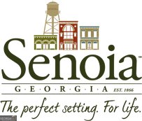 138 Magnolia Place Drive Senoia - Photo 60