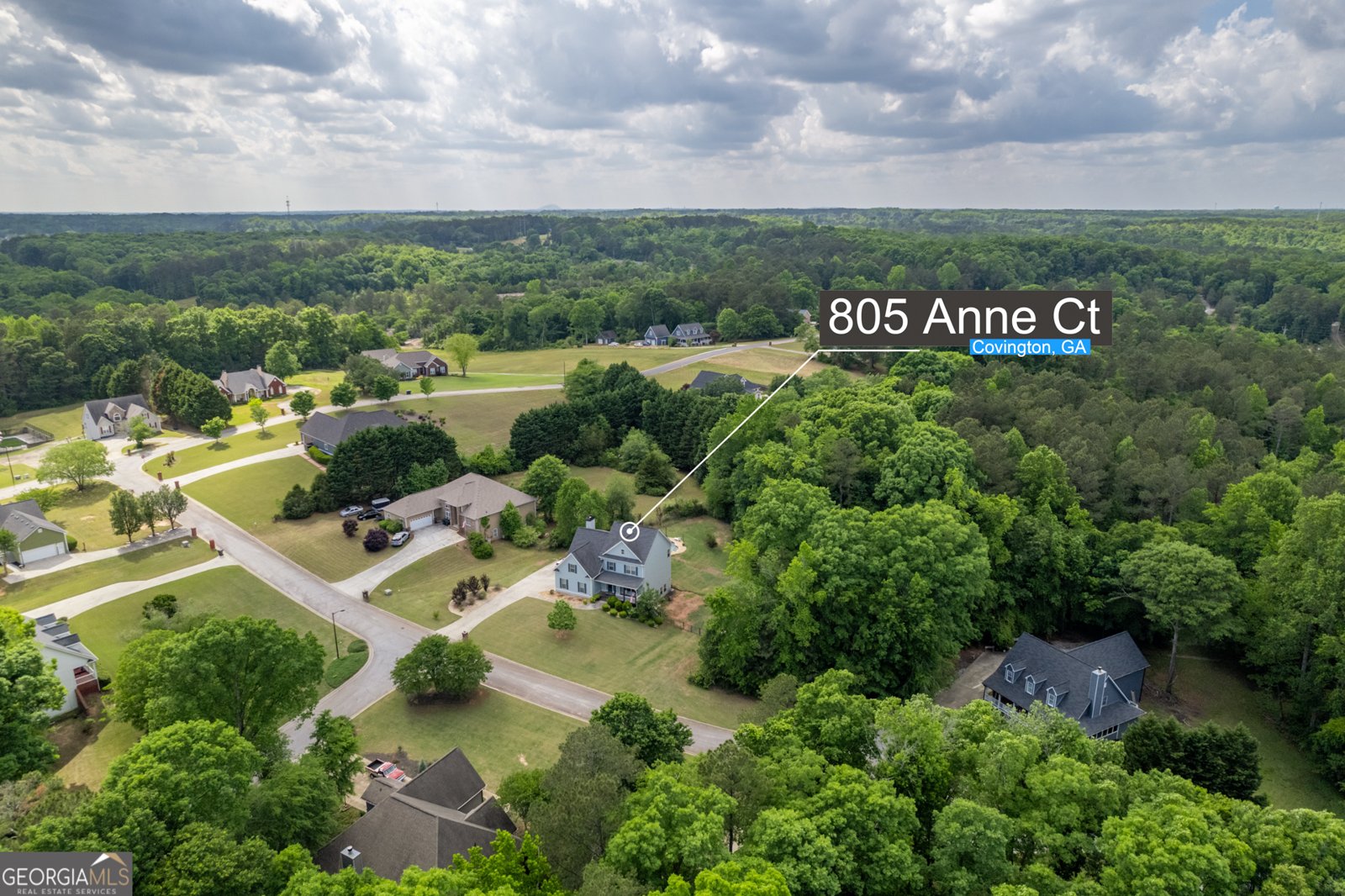 805 Anne Court Covington - Photo 50