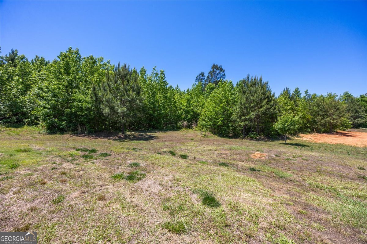 261 Blount Chapel Road Haddock - Photo 36