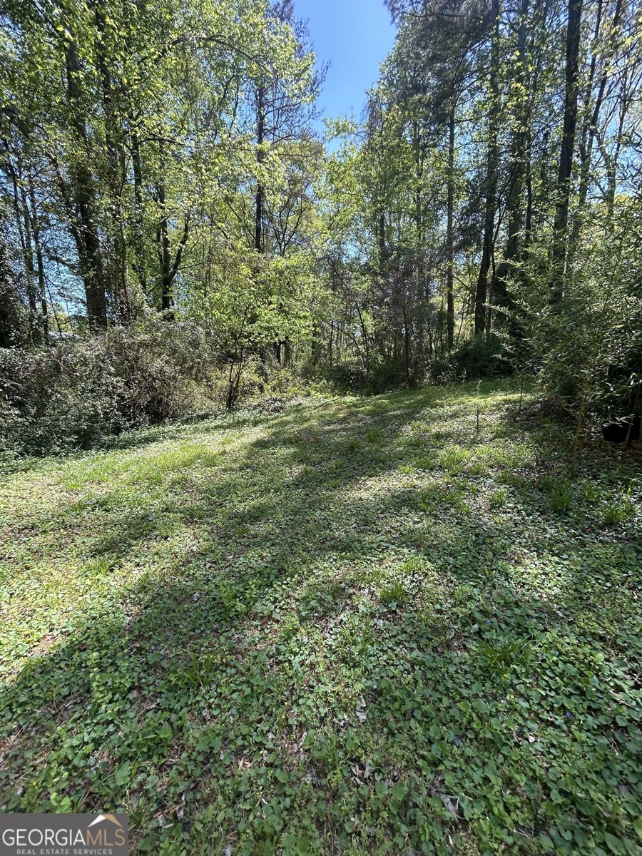 6003 Wellborn Trace Lithonia - Photo 32