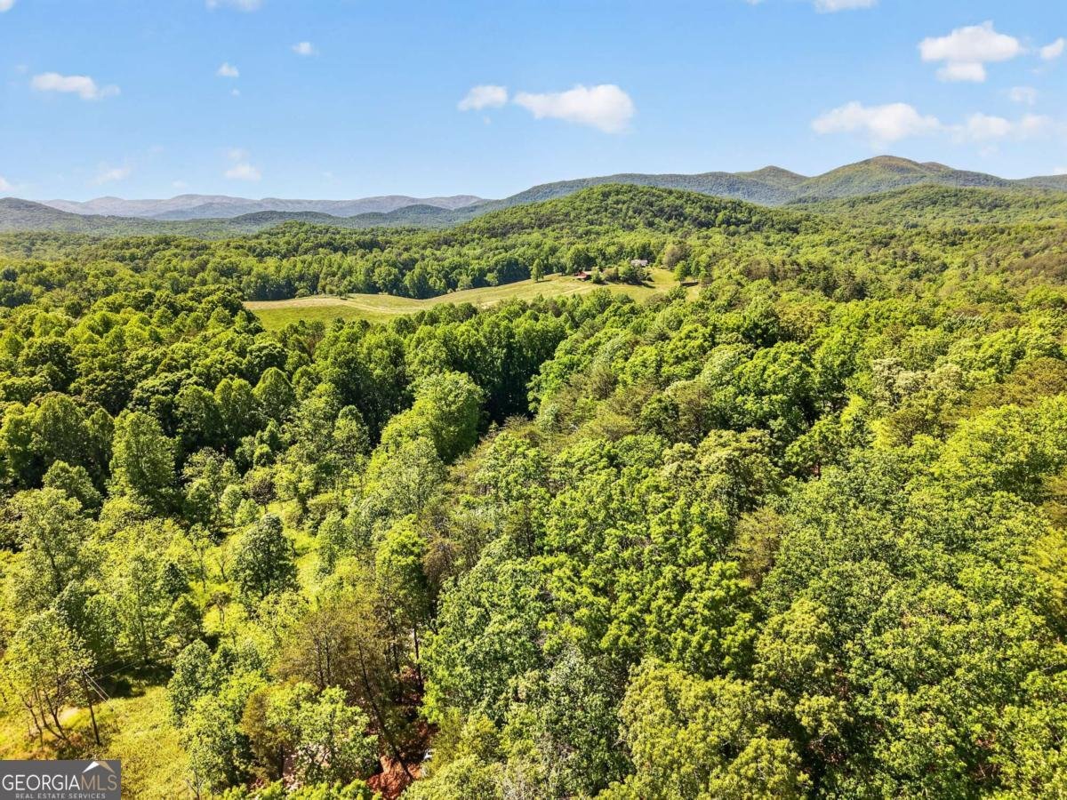 924 Fred Ash Road Dahlonega - Photo 30