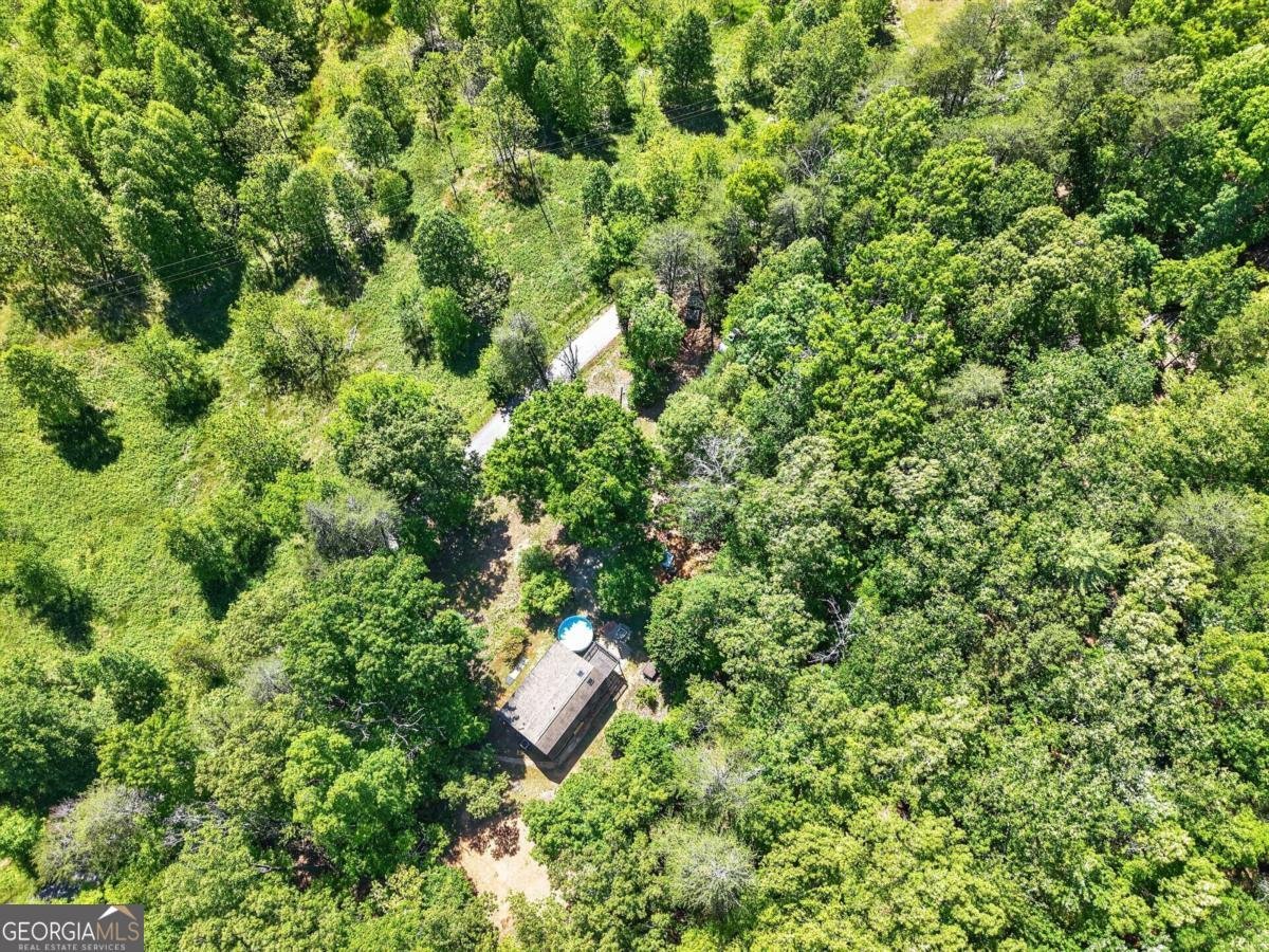 924 Fred Ash Road Dahlonega - Photo 31