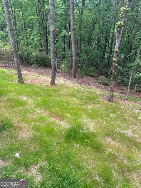82 Vista Dr. Cleveland - Photo 30