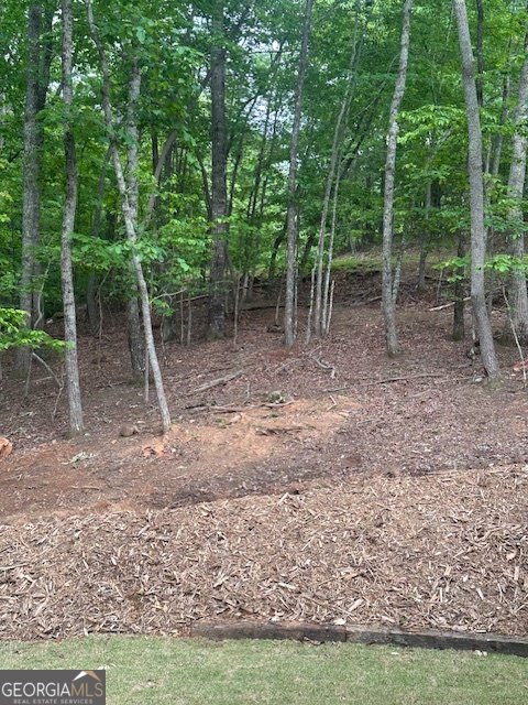 82 Vista Dr. Cleveland - Photo 32