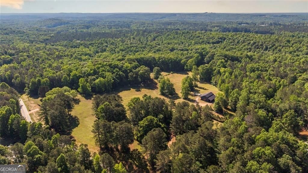 9511 Highpoint Road villa rica - Photo 60