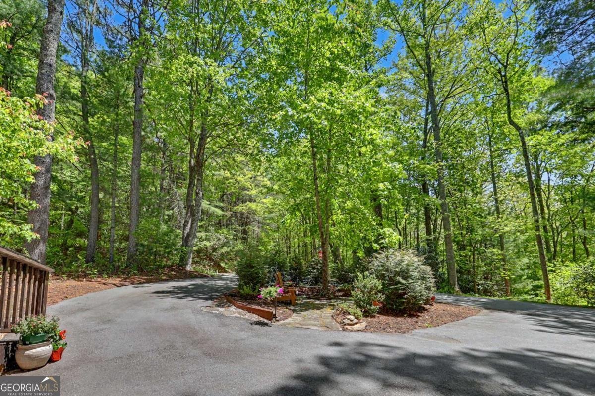 4 Saddleback Circle Sky Valley - Photo 22