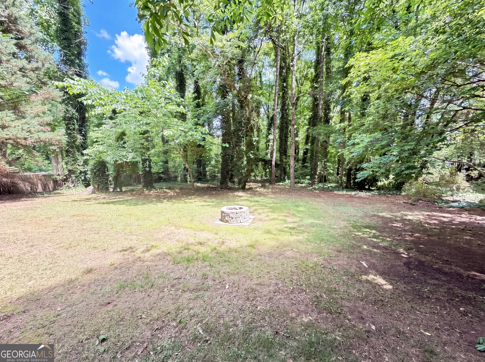 420 Creekside Lane Woodstock - Photo 23