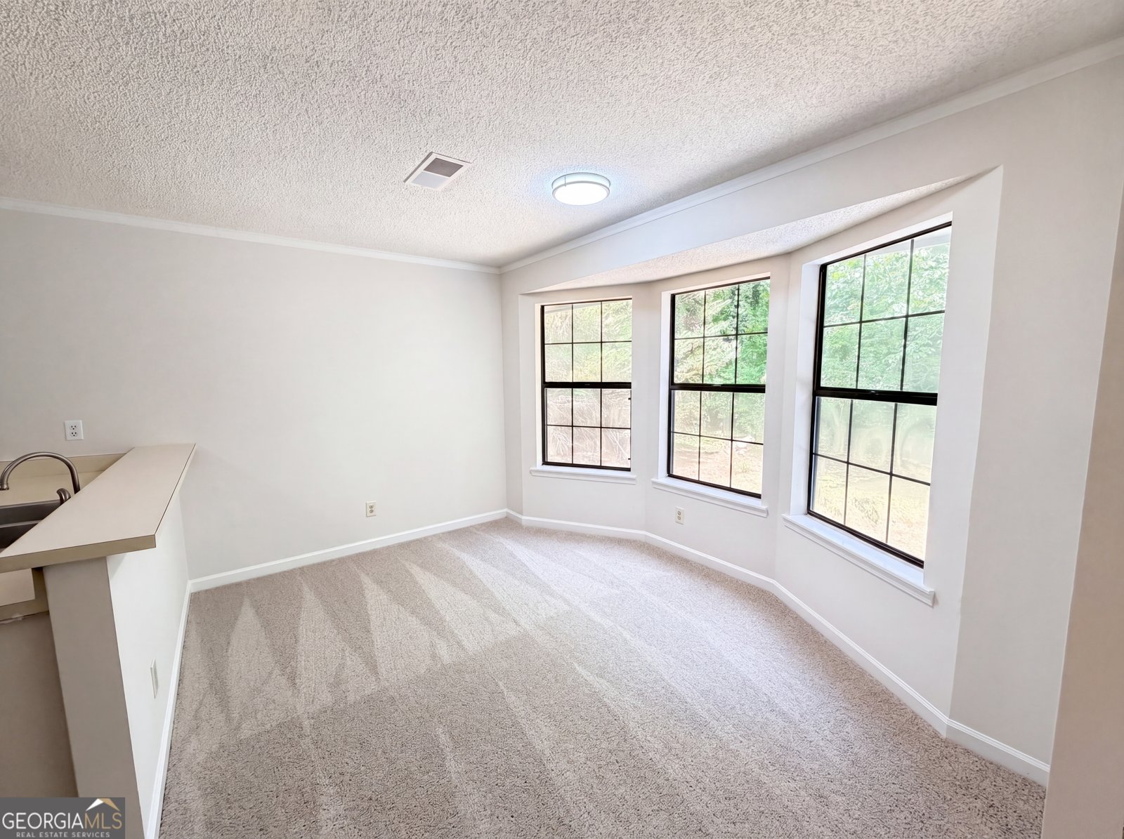 420 Creekside Lane Woodstock - Photo 7