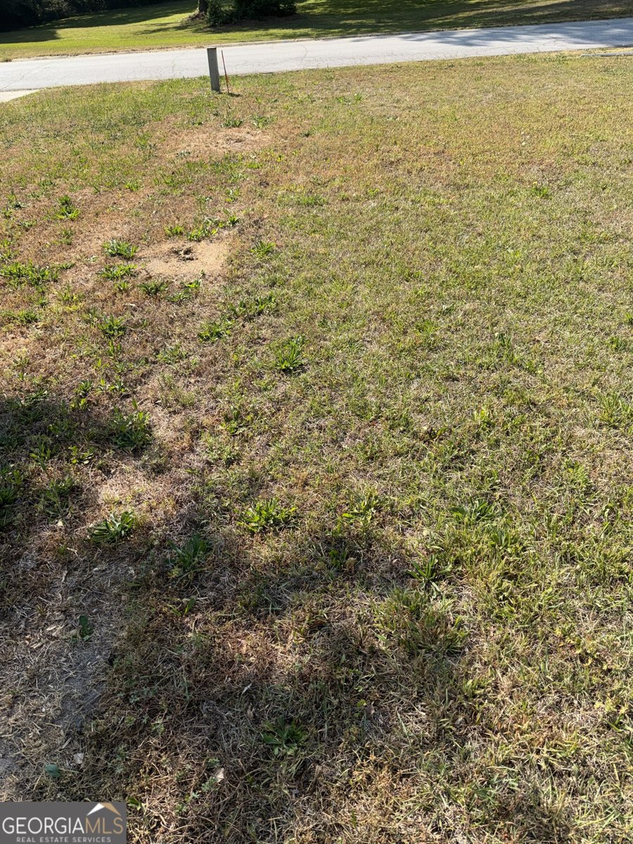 210 Pine Valley Drive Powder Springs - Photo 9