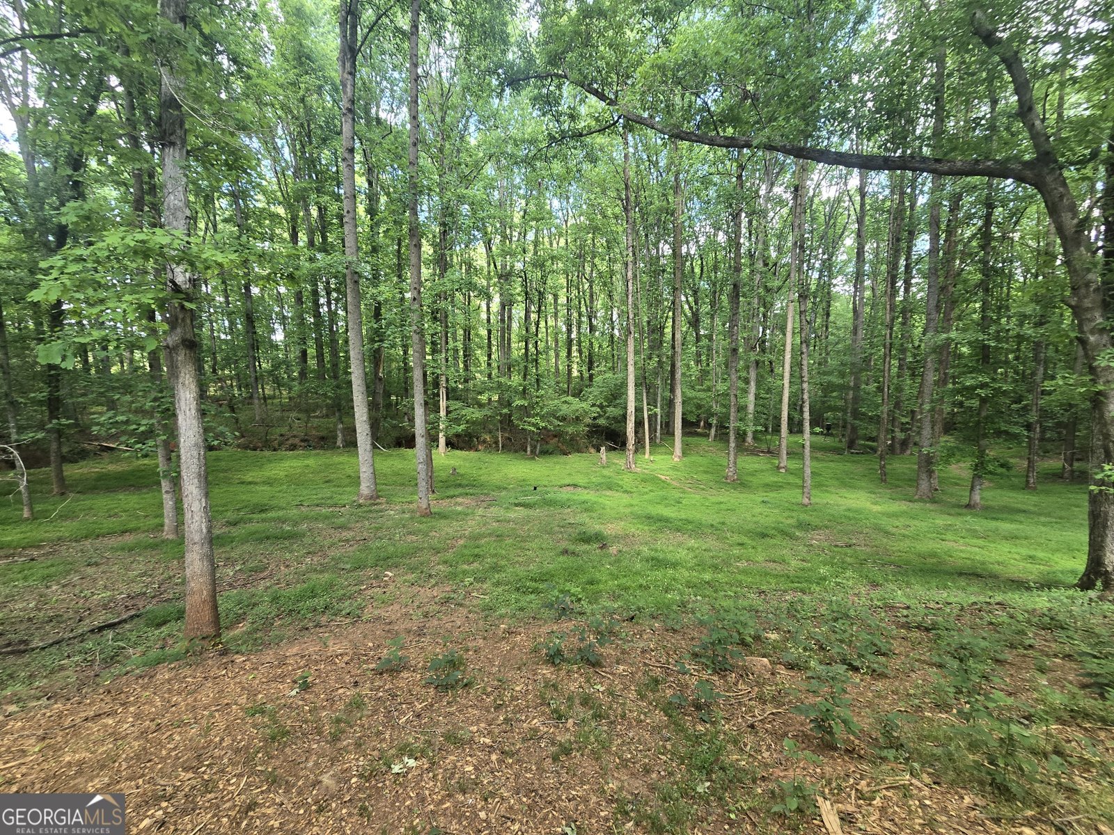 115 Rock Quarry Drive Danielsville - Photo 19