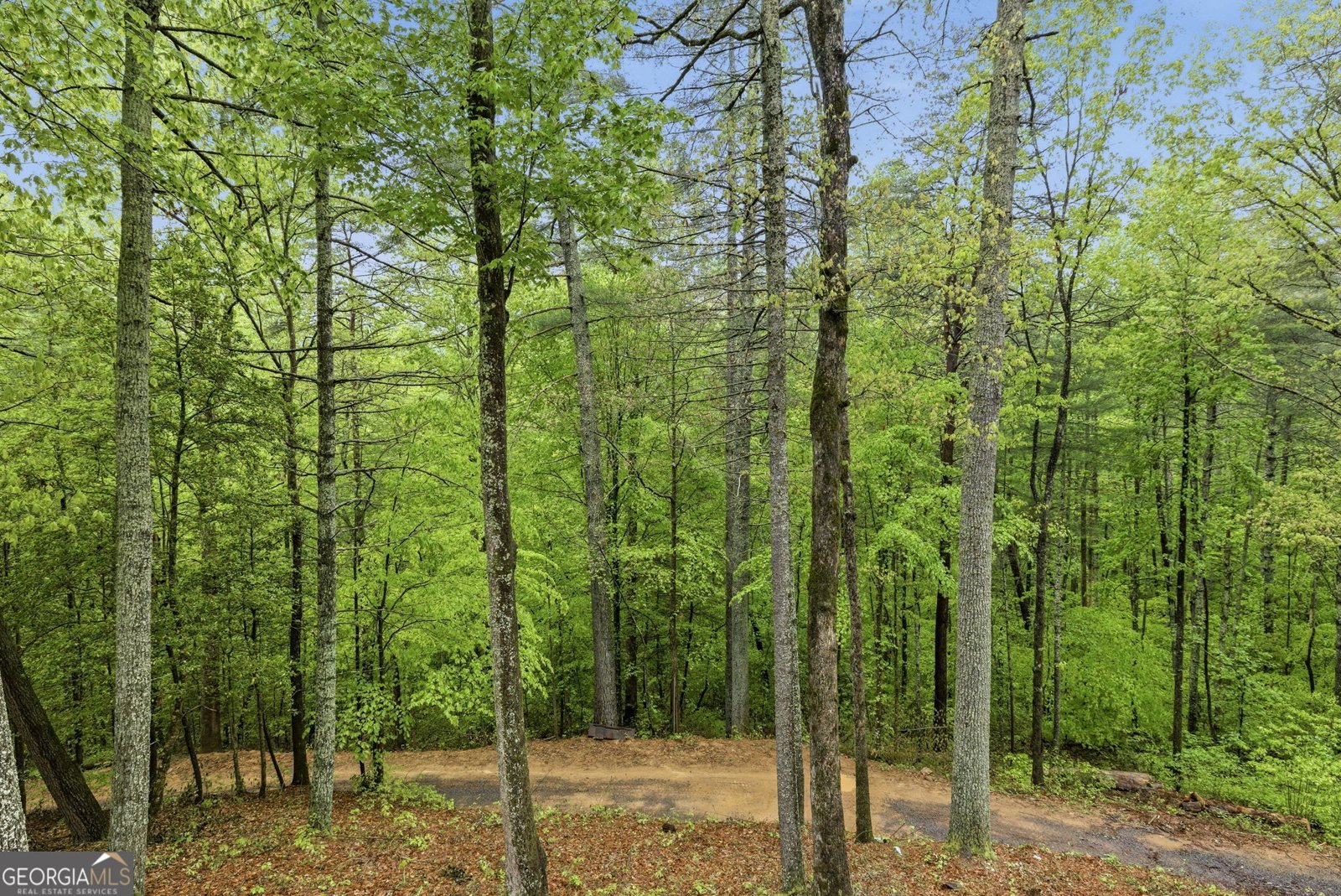 458 Almond Circle Ellijay - Photo 29