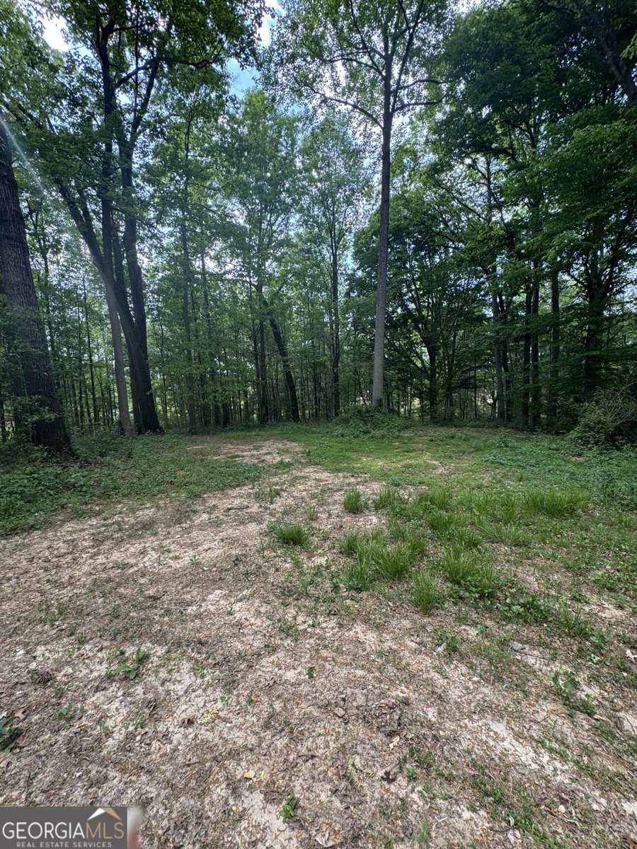 780 Bellamy Road Lula - Photo 19