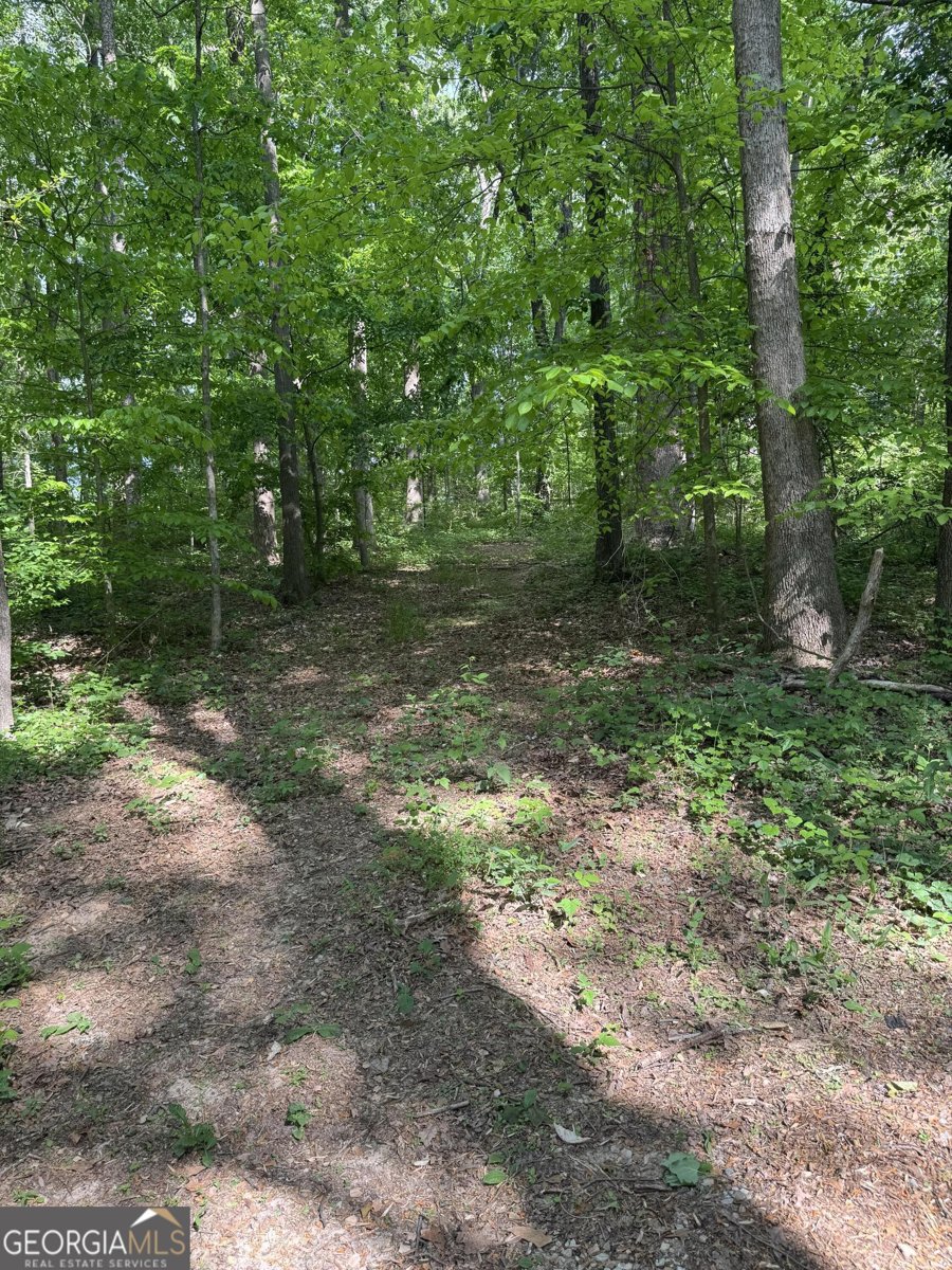 780 Bellamy Road Lula - Photo 24
