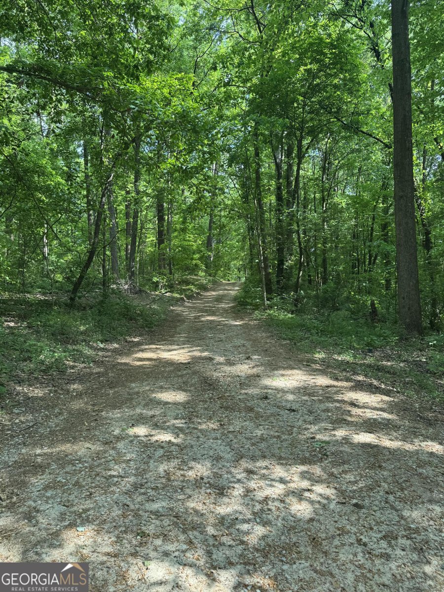780 Bellamy Road Lula - Photo 25