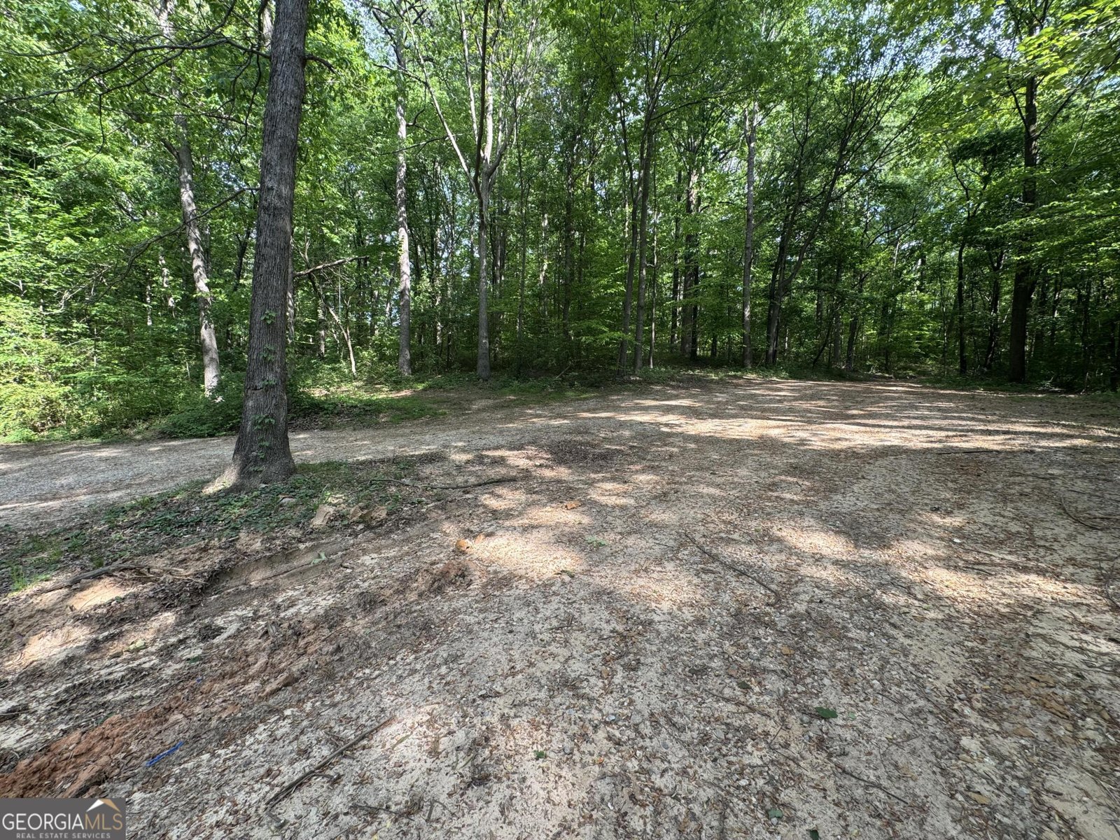 780 Bellamy Road Lula - Photo 26
