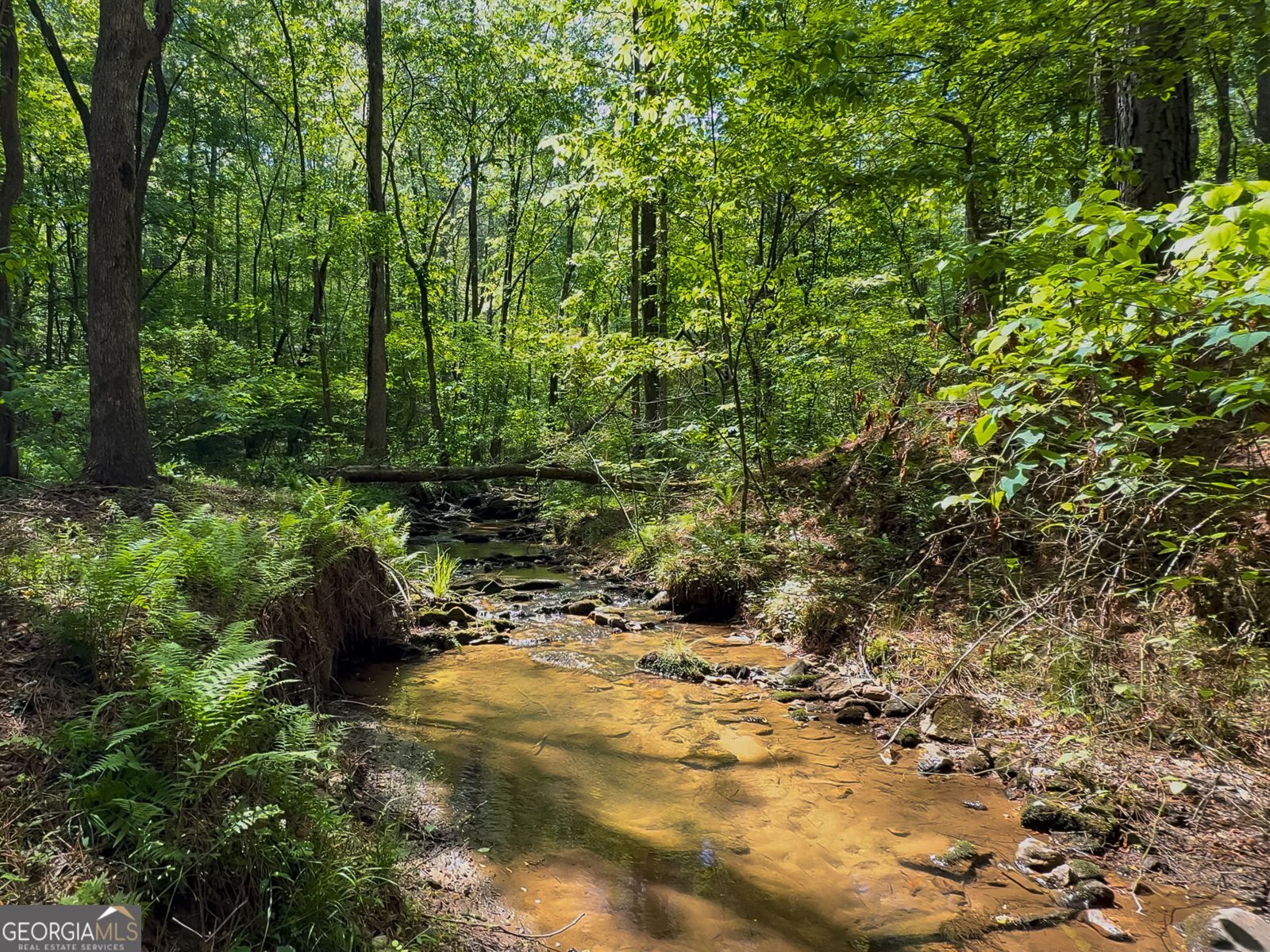 824 Bridge Road Ellijay - Photo 53