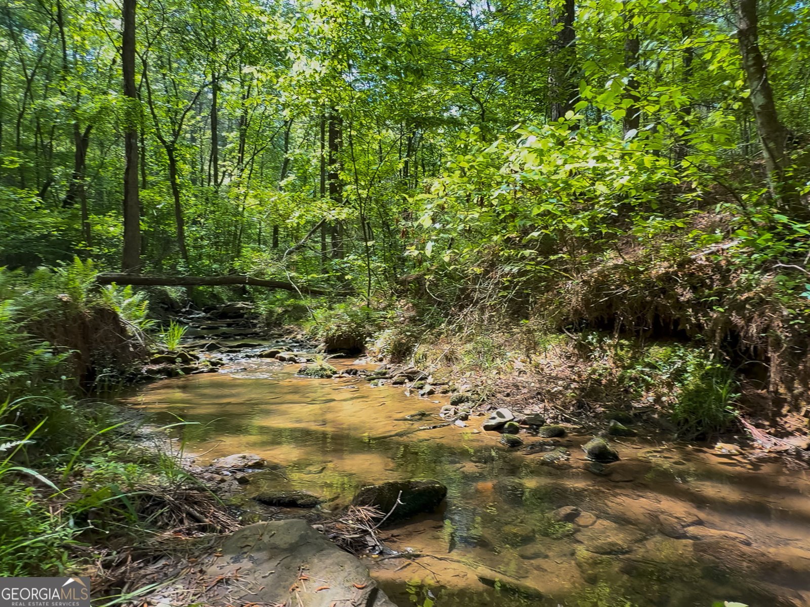 824 Bridge Road Ellijay - Photo 54