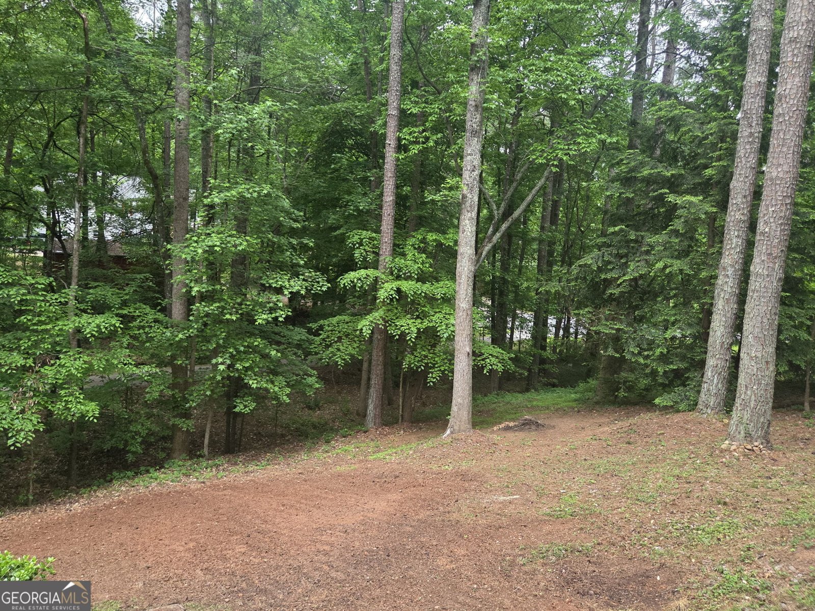 1955 Mountain Trace Canton - Photo 31