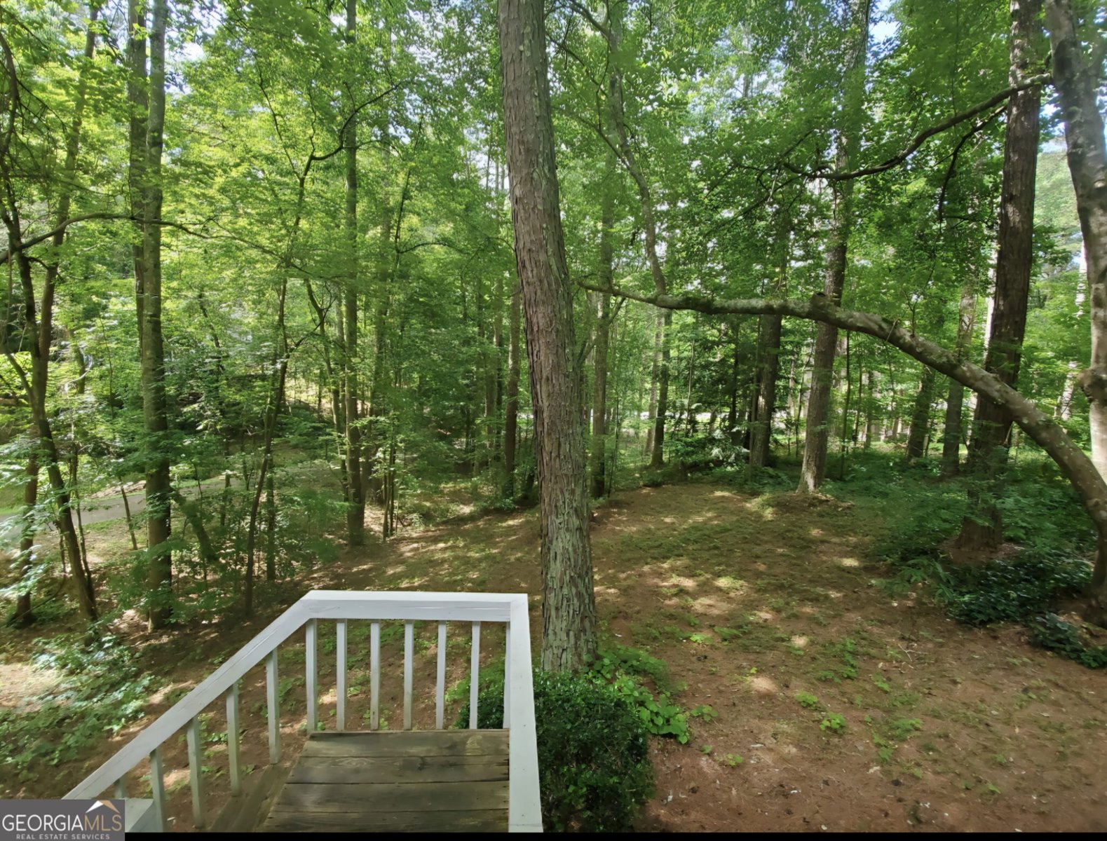 1955 Mountain Trace Canton - Photo 37