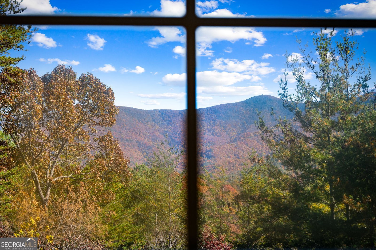 67 Timber Grace Court Blairsville - Photo 65