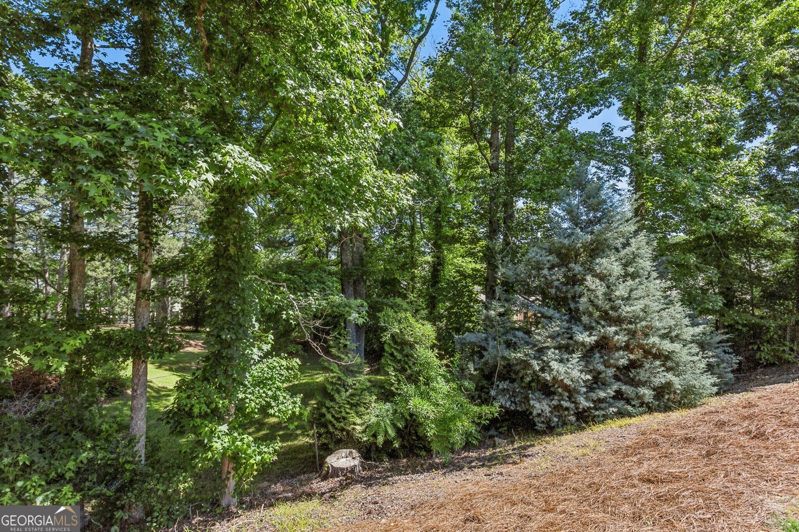 61 Azalea Lakes Drive Dallas - Photo 28