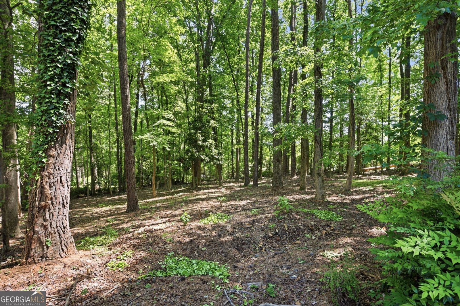 250 Hollyridge Way Roswell - Photo 34