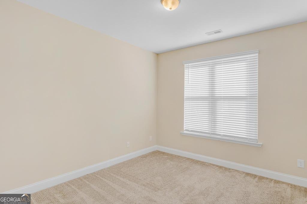 1141 Abundance Drive Locust Grove - Photo 24