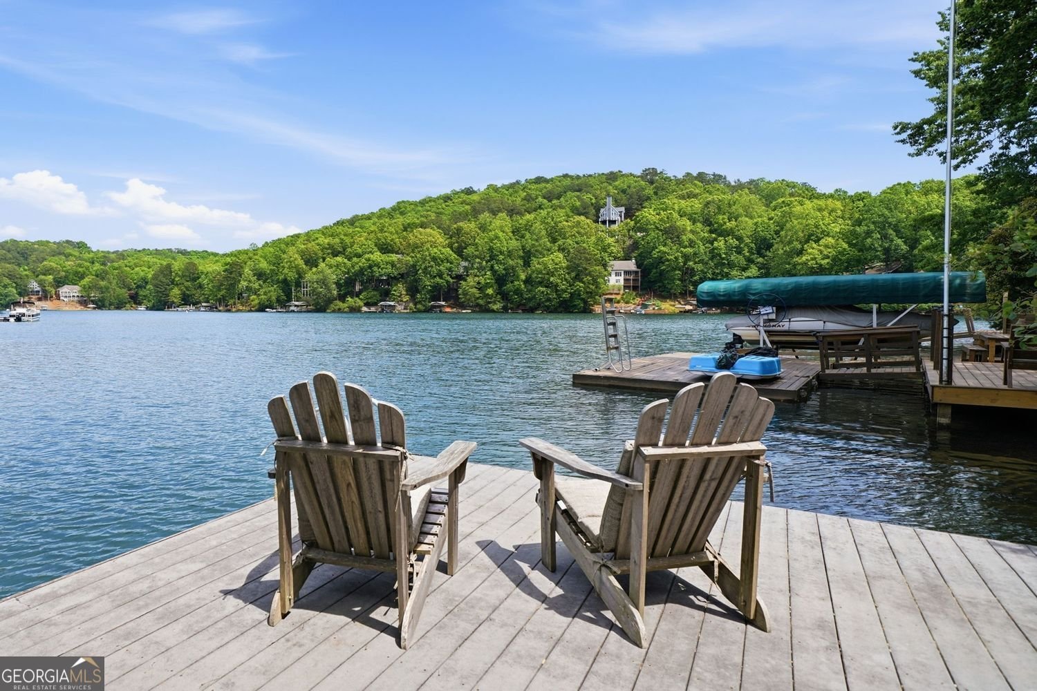 165 Narrows Drive Waleska - Photo 62