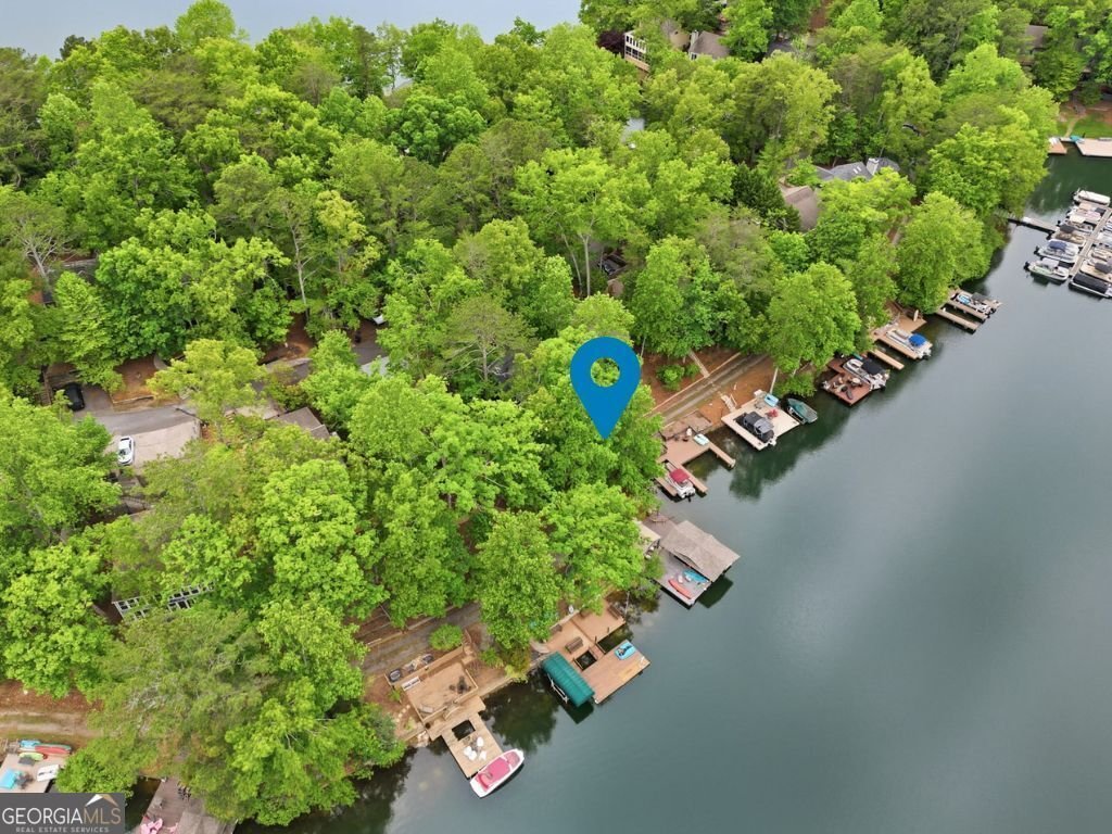 165 Narrows Drive Waleska - Photo 74