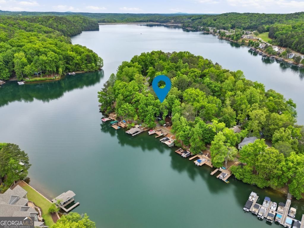 165 Narrows Drive Waleska - Photo 78