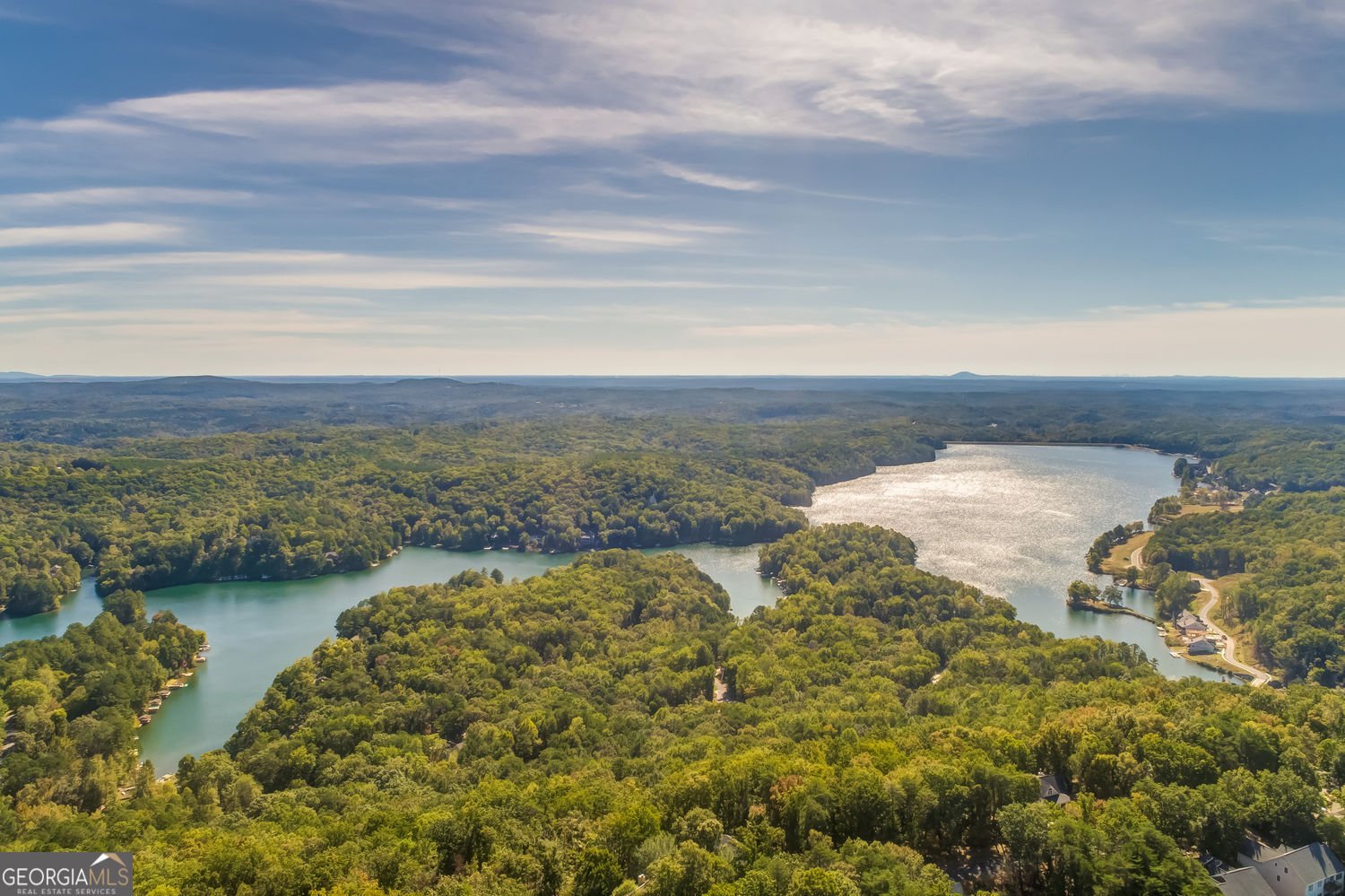 165 Narrows Drive Waleska - Photo 83