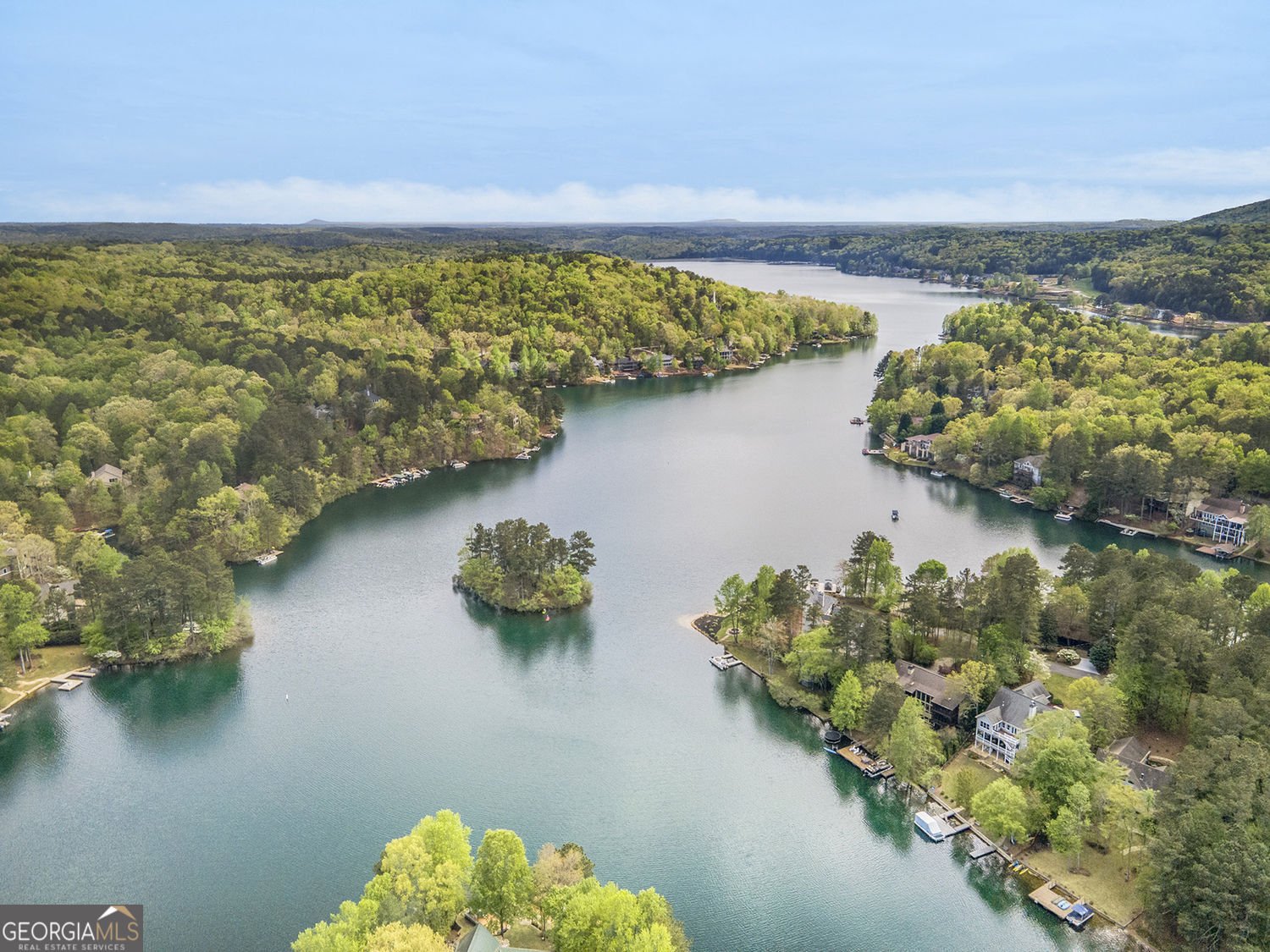 165 Narrows Drive Waleska - Photo 84