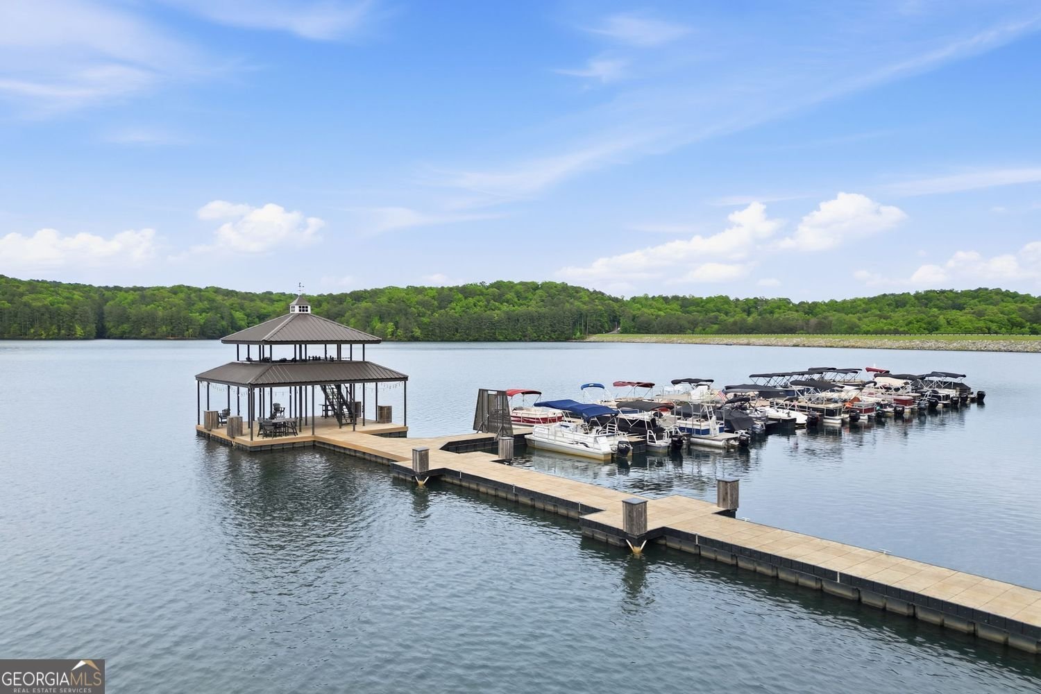 165 Narrows Drive Waleska - Photo 85