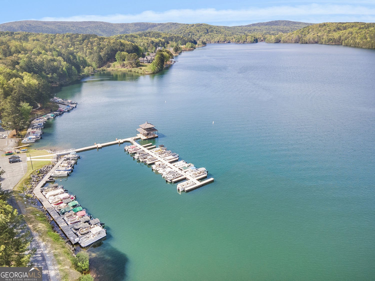 165 Narrows Drive Waleska - Photo 86