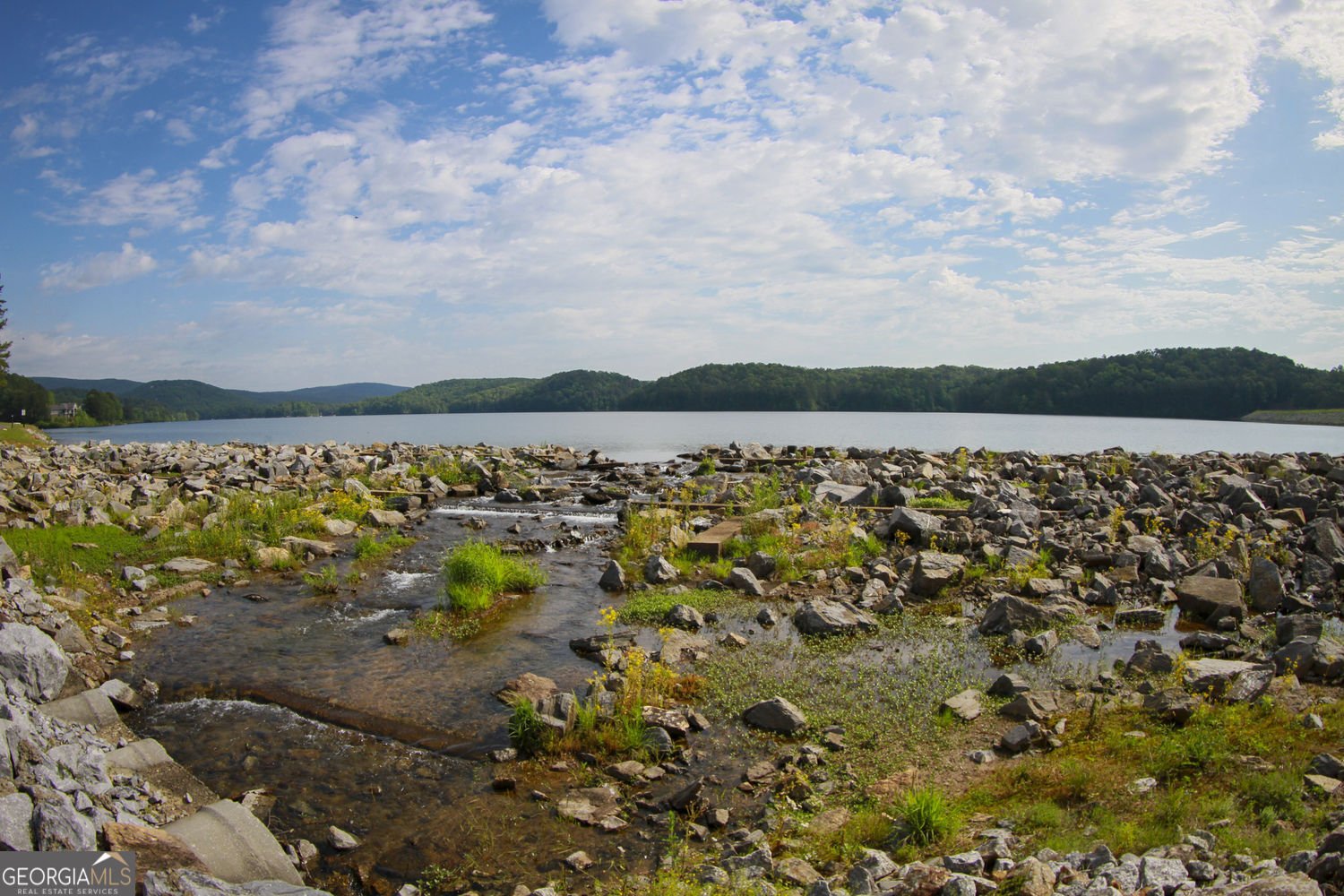 165 Narrows Drive Waleska - Photo 93