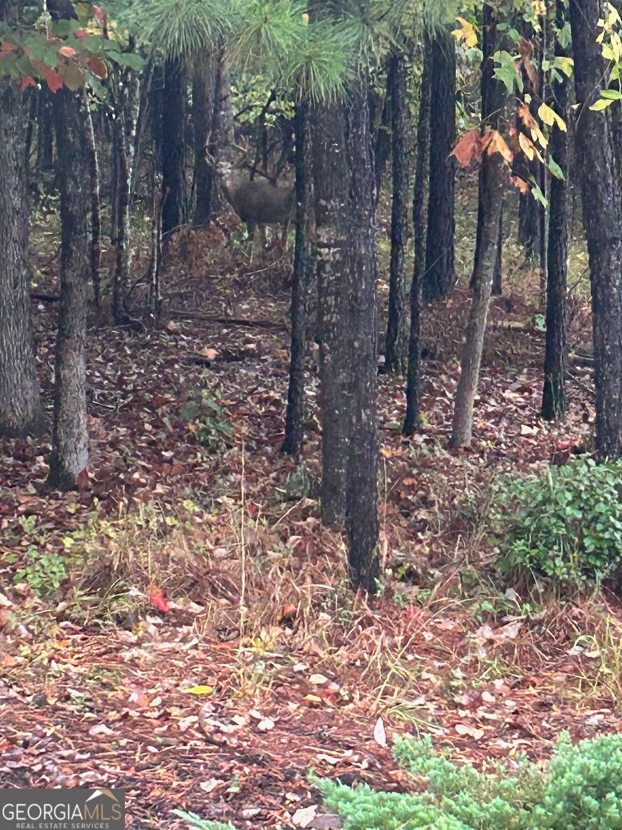 180 Talking Leaves Court Acworth - Photo 25